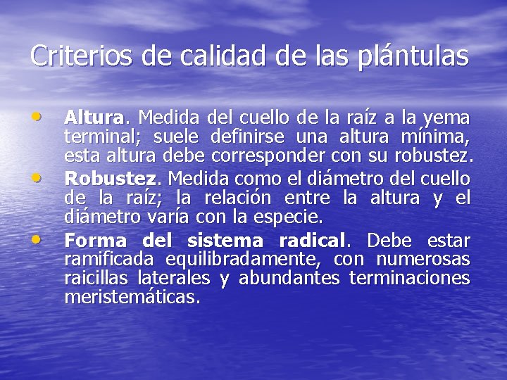 Criterios de calidad de las plántulas • Altura. Medida del cuello de la raíz