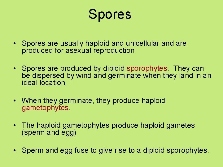 Spores • Spores are usually haploid and unicellular and are produced for asexual reproduction