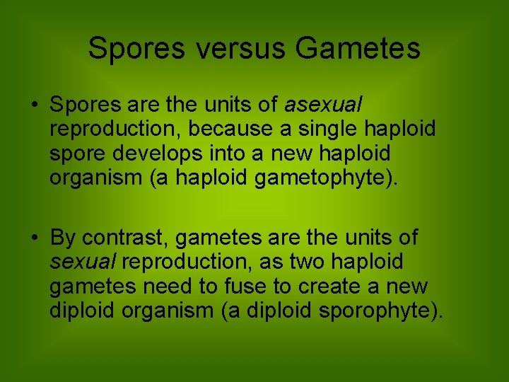 Spores versus Gametes • Spores are the units of asexual reproduction, because a single