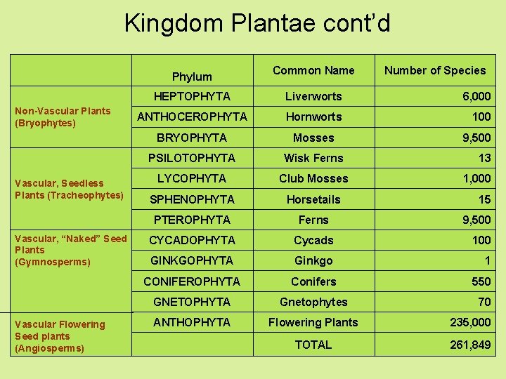 Kingdom Plantae cont’d Phylum Non-Vascular Plants (Bryophytes) Vascular, Seedless Plants (Tracheophytes) Vascular, “Naked” Seed