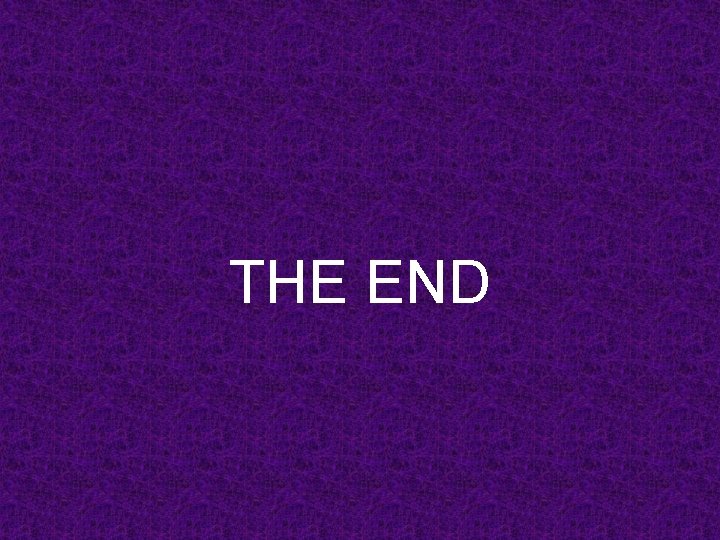 THE END 