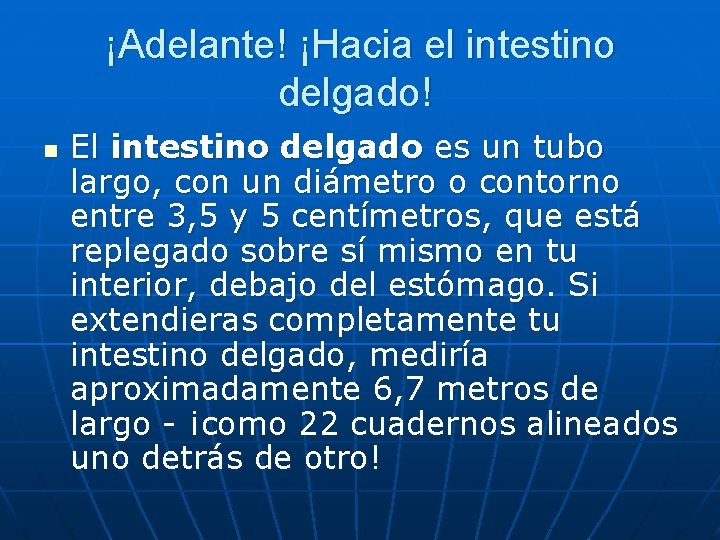 ¡Adelante! ¡Hacia el intestino delgado! n El intestino delgado es un tubo largo, con