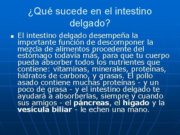 ¿Qué sucede en el intestino delgado? n El intestino delgado desempeña la importante función