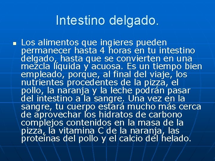 Intestino delgado. n Los alimentos que ingieres pueden permanecer hasta 4 horas en tu