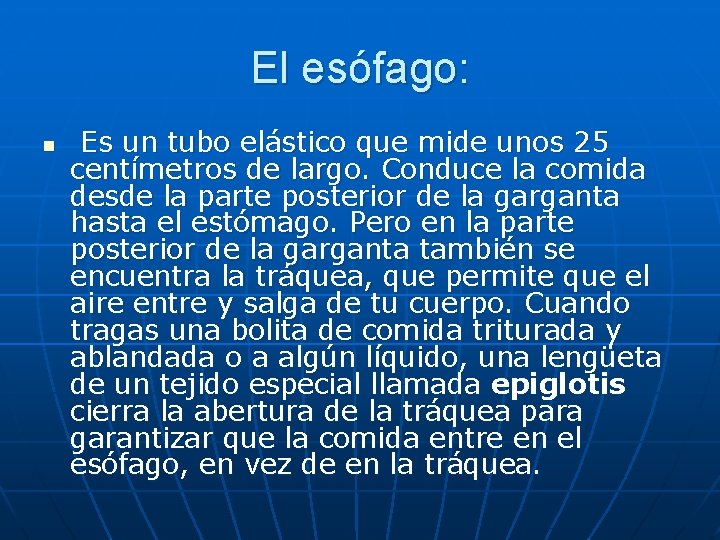 El esófago: n Es un tubo elástico que mide unos 25 centímetros de largo.