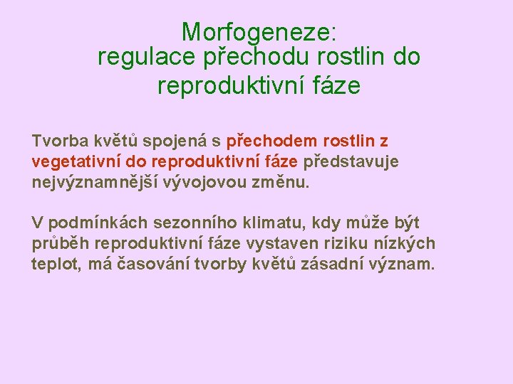 Morfogeneze: regulace přechodu rostlin do reproduktivní fáze Tvorba květů spojená s přechodem rostlin z