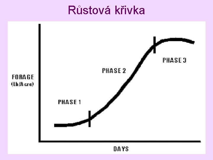 Růstová křivka 