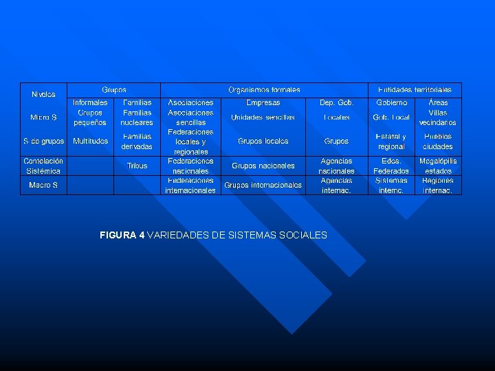 FIGURA 4 VARIEDADES DE SISTEMAS SOCIALES 