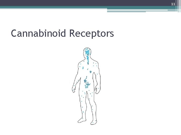11 Cannabinoid Receptors 