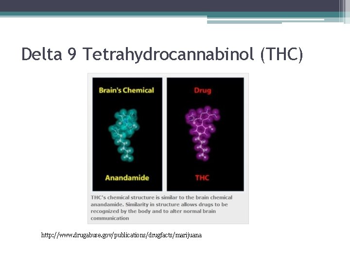 Delta 9 Tetrahydrocannabinol (THC) http: //www. drugabuse. gov/publications/drugfacts/marijuana 