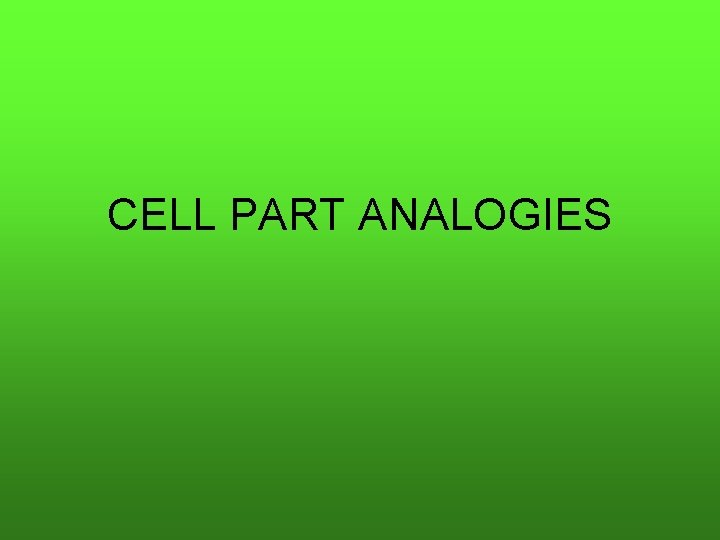 CELL PART ANALOGIES 