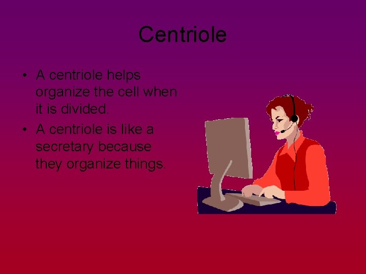 Centriole • A centriole helps organize the cell when it is divided. • A
