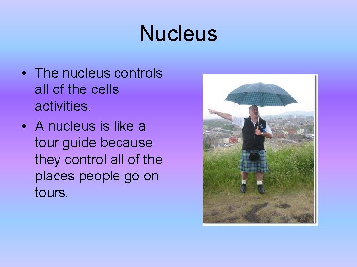 Nucleus • The nucleus controls all of the cells activities. • A nucleus is