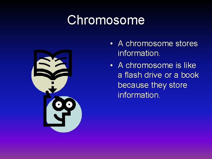 Chromosome • A chromosome stores information. • A chromosome is like a flash drive
