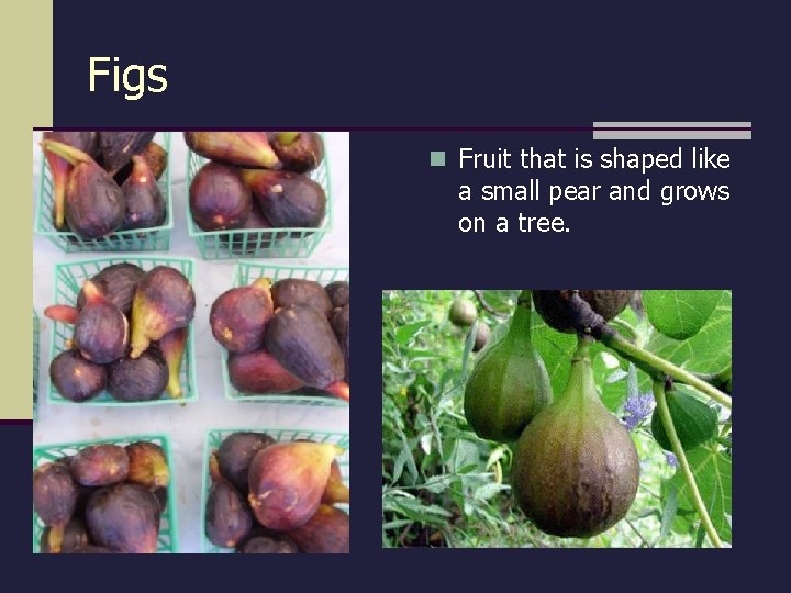 Figs n Fruit that is shaped like a small pear and grows on a Figs n Fruit that is shaped like a small pear and grows on a