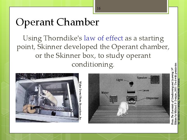 16 Using Thorndike's law of effect as a starting point, Skinner developed the Operant