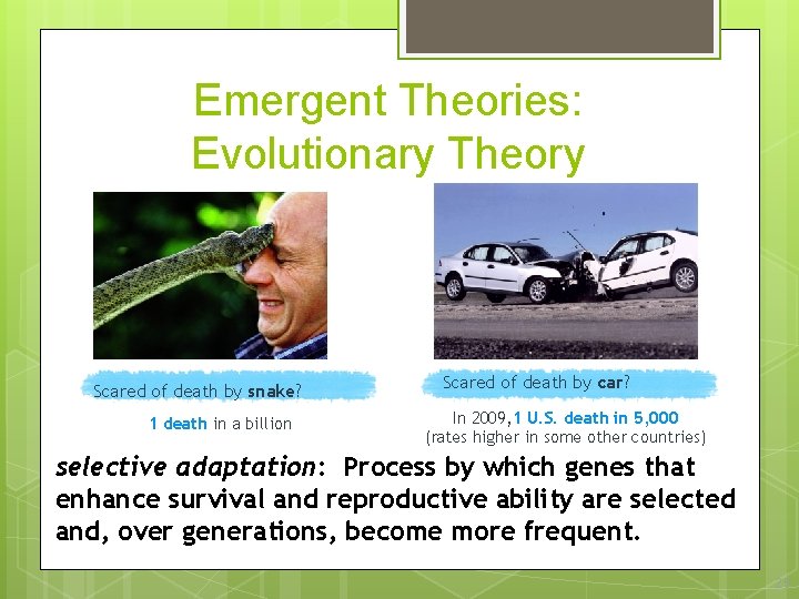 Emergent Theories: Evolutionary Theory Scared of death by snake? 1 death in a billion