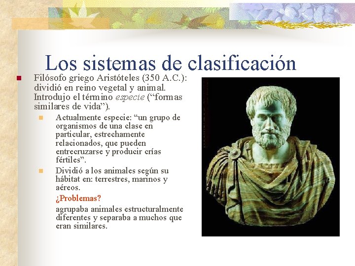 n Los sistemas de clasificación Filósofo griego Aristóteles (350 A. C. ): dividió en