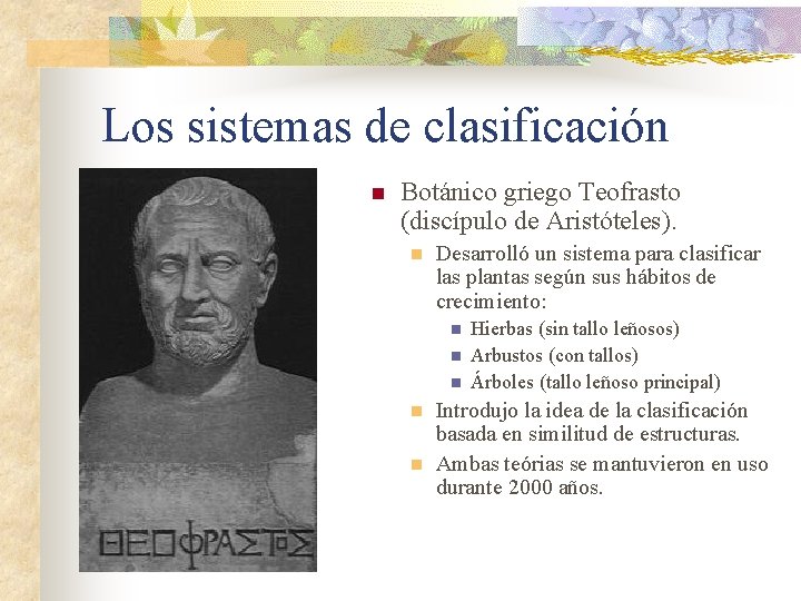 Los sistemas de clasificación n Botánico griego Teofrasto (discípulo de Aristóteles). n Desarrolló un