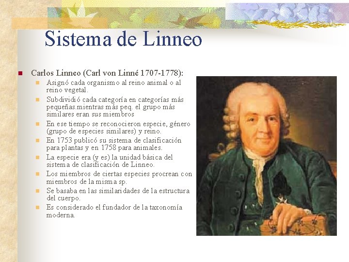 Sistema de Linneo n Carlos Linneo (Carl von Linné 1707 -1778): n n n