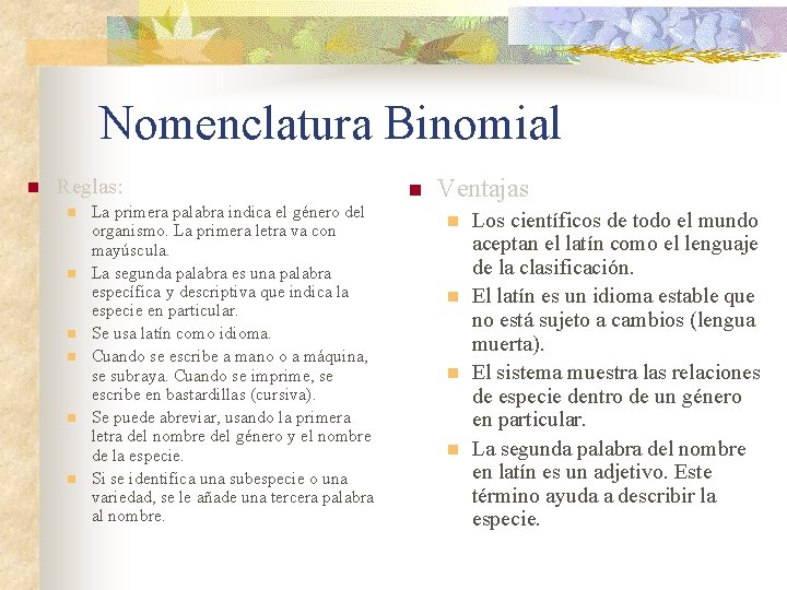 Nomenclatura Binomial n Reglas: n n n La primera palabra indica el género del