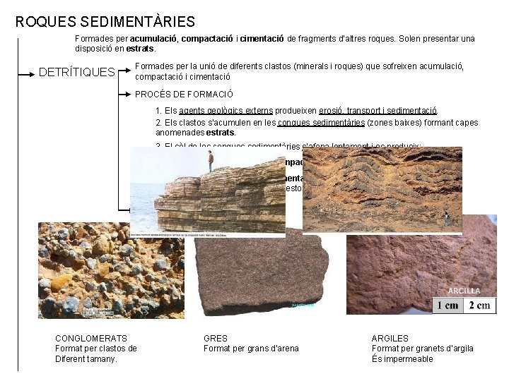 ROQUES SEDIMENTÀRIES Formades per acumulació, compactació i cimentació de fragments d’altres roques. Solen presentar