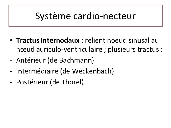 Système cardio-necteur • Tractus internodaux : relient noeud sinusal au nœud auriculo-ventriculaire ; plusieurs