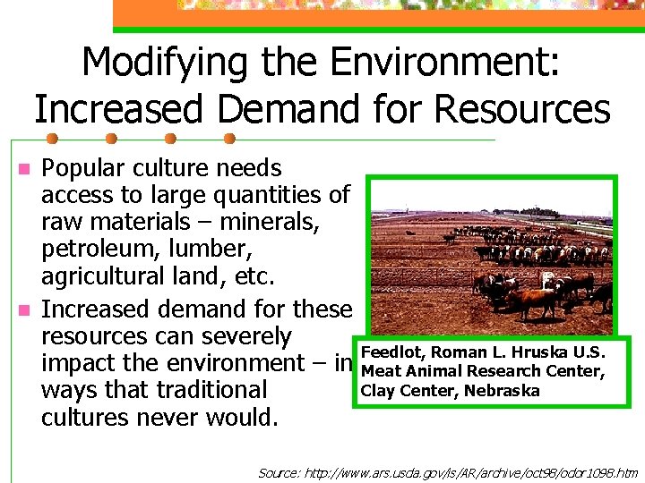 Modifying the Environment: Increased Demand for Resources n n Popular culture needs access to