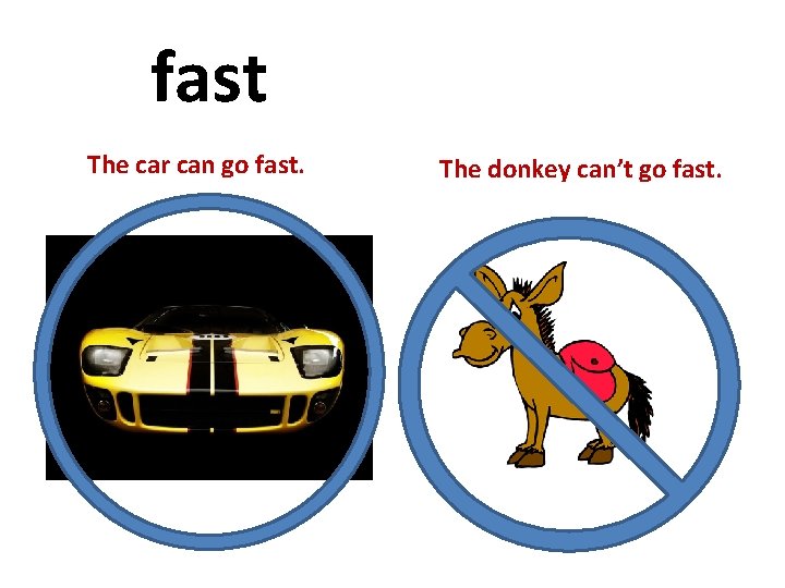 fast The car can go fast. The donkey can’t go fast. 