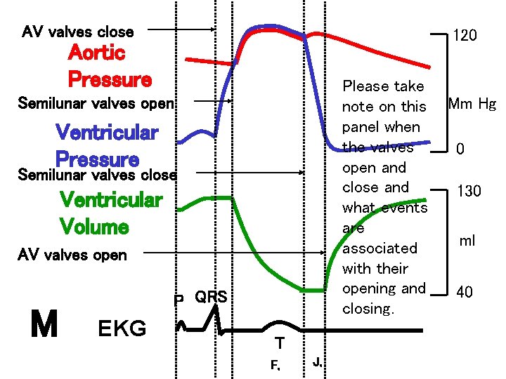 AV valves close 120 Aortic Pressure Please take note on this panel when the