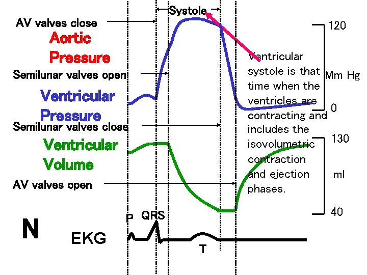 Systole AV valves close 120 Aortic Pressure Ventricular systole is that Mm Hg time