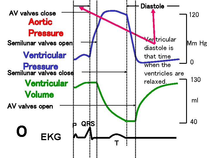 Diastole AV valves close 120 Aortic Pressure Ventricular Mm Hg diastole is that time