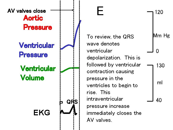 E AV valves close Aortic Pressure Ventricular Volume P QRS EKG To review, the