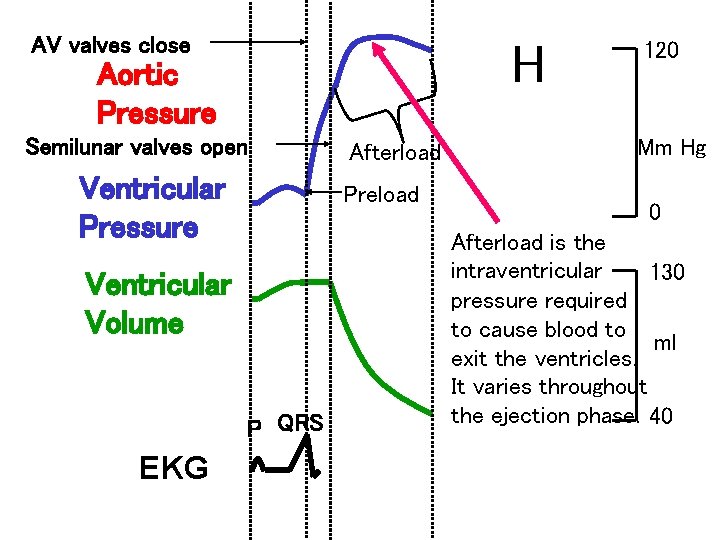 AV valves close H Aortic Pressure Semilunar valves open Ventricular Pressure Afterload Preload 120