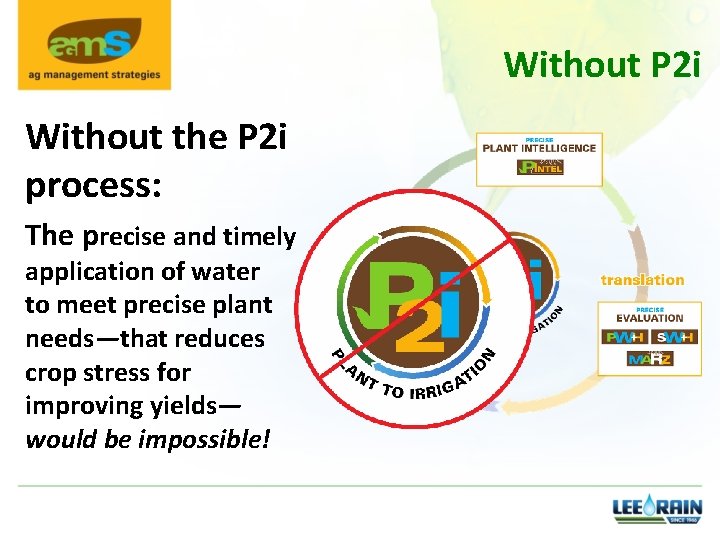 Without P 2 i Without the P 2 i process: The precise and timely