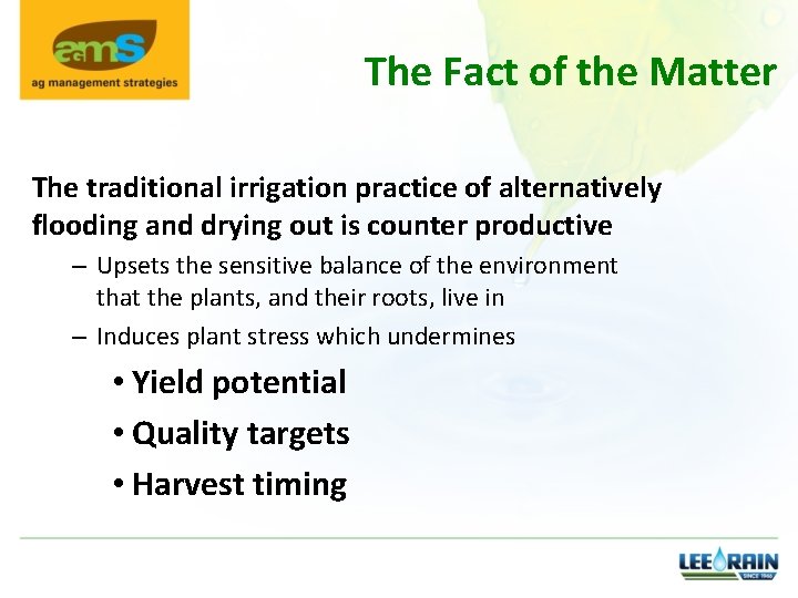 The Fact of the Matter The traditional irrigation practice of alternatively flooding and drying