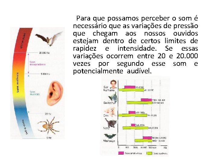 Para que possamos perceber o som é necessário que as variações de pressão que