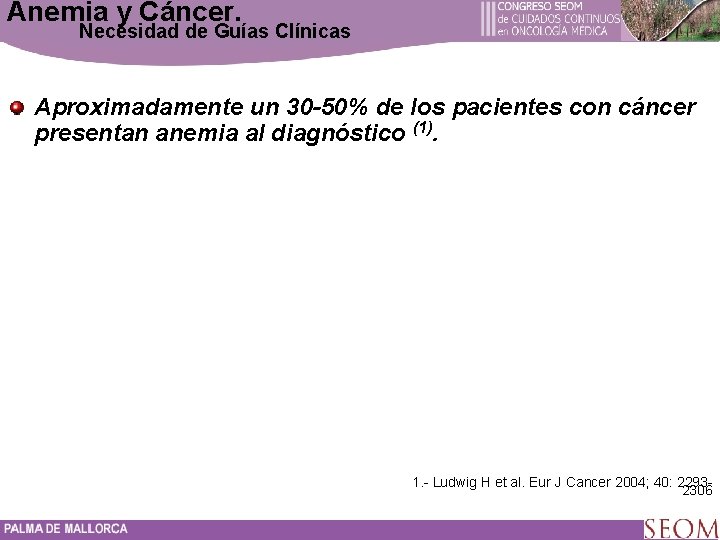Anemia y Cáncer. Necesidad de Guías Clínicas Aproximadamente un 30 -50% de los pacientes