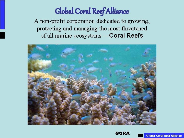 Global Coral Reef Alliance A non-profit corporation dedicated to growing, protecting and managing the