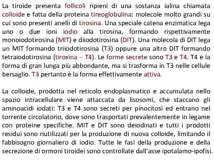 La tiroide presenta follicoli ripieni di una sostanza ialina chiamata colloide e fatta della