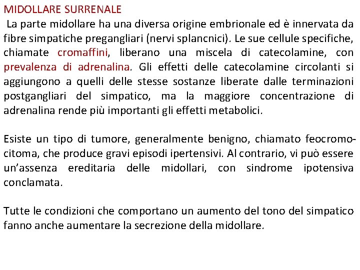 MIDOLLARE SURRENALE La parte midollare ha una diversa origine embrionale ed è innervata da