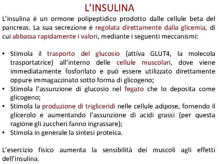 L’INSULINA L’insulina è un ormone polipeptidico prodotto dalle cellule beta del pancreas. La sua