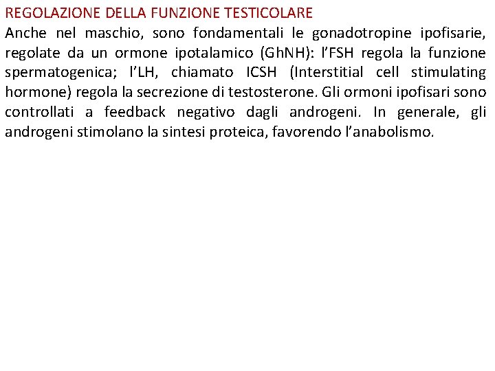 REGOLAZIONE DELLA FUNZIONE TESTICOLARE Anche nel maschio, sono fondamentali le gonadotropine ipofisarie, regolate da