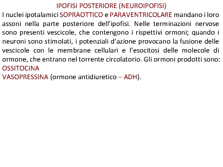 IPOFISI POSTERIORE (NEUROIPOFISI) I nuclei ipotalamici SOPRAOTTICO e PARAVENTRICOLARE mandano i loro assoni nella