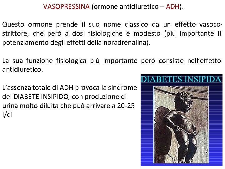 VASOPRESSINA (ormone antidiuretico – ADH). Questo ormone prende il suo nome classico da un