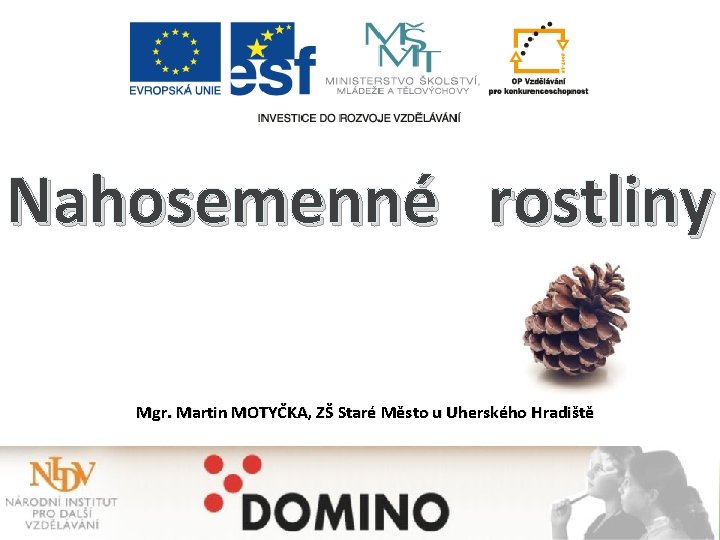 Nahosemenné rostliny Mgr. Martin MOTYČKA, ZŠ Staré Město u Uherského Hradiště 