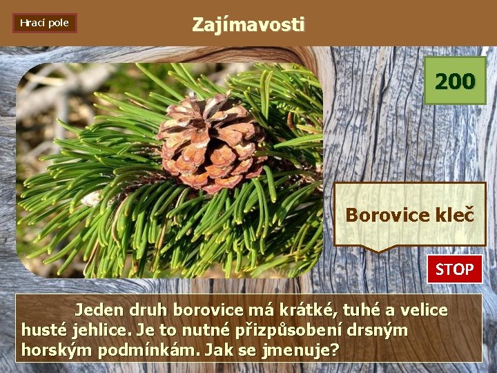 Hrací pole Zajímavosti 200 Borovice kleč STOP 0: 01 0: 02 0: 03 0: