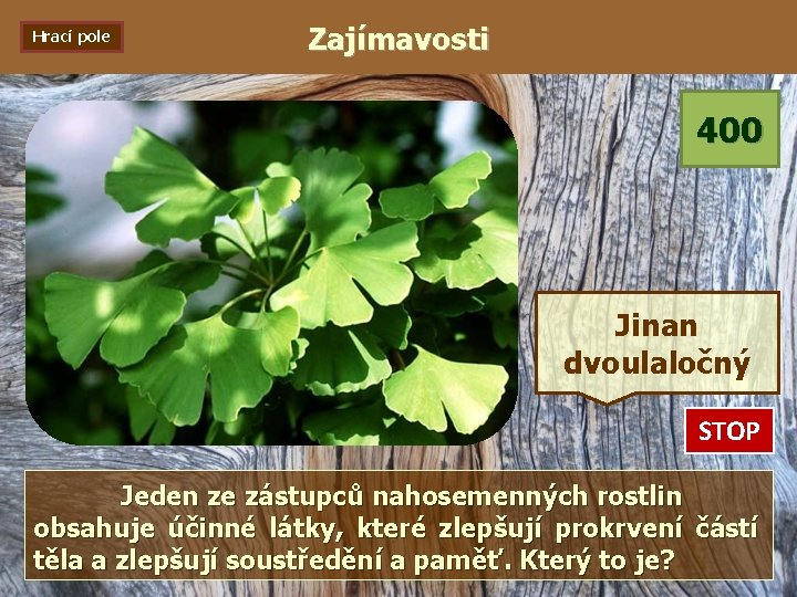 Hrací pole Zajímavosti 400 Jinan dvoulaločný STOP 0: 01 0: 02 0: 03 0:
