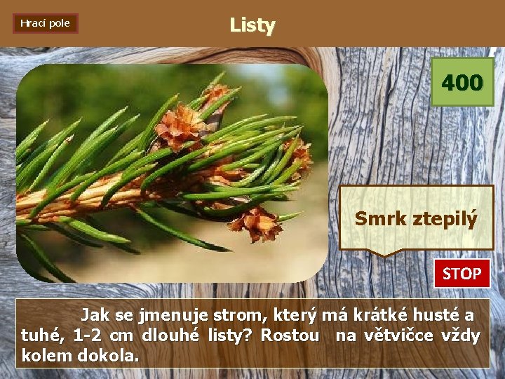 Hrací pole Listy 400 Smrk ztepilý STOP 0: 01 0: 02 0: 03 0: