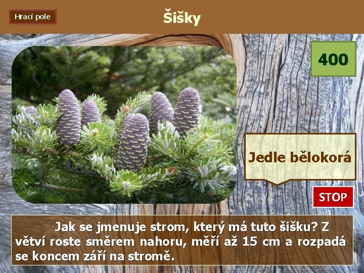 Hrací pole Šišky 400 Jedle bělokorá STOP 0: 01 0: 02 0: 03 0: